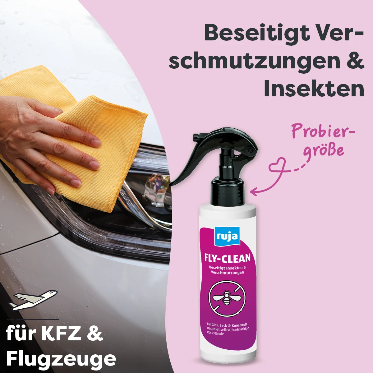Fly-Clean | 150 ml